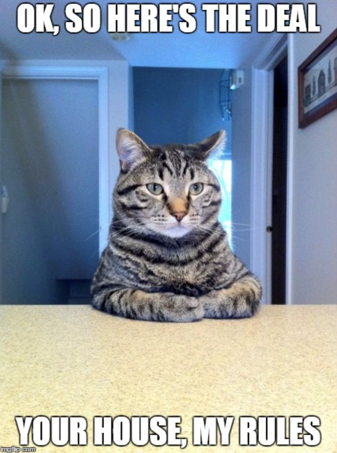 OK, SO HERE'S THE DEAL YOUR HOUSE, MY RULES mgilp.com