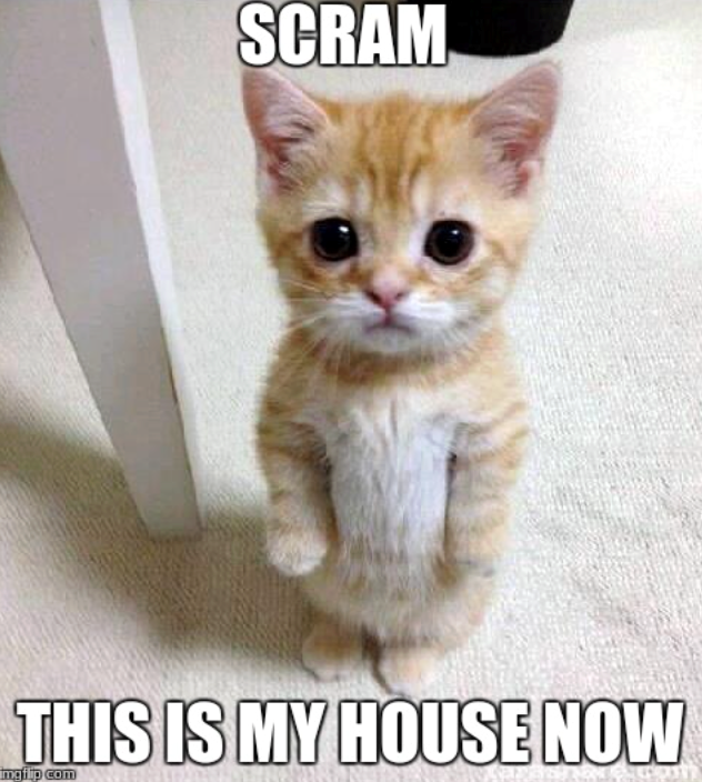 SCRAM THIS IS MY HOUSE NOW mgflip.com
