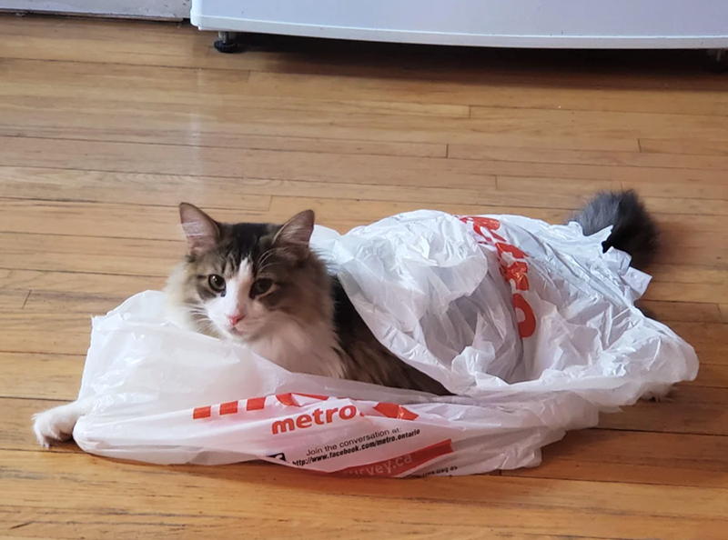 metro. Join the conversation at: http://www.facebook.com/metro.ontario rvey.ca