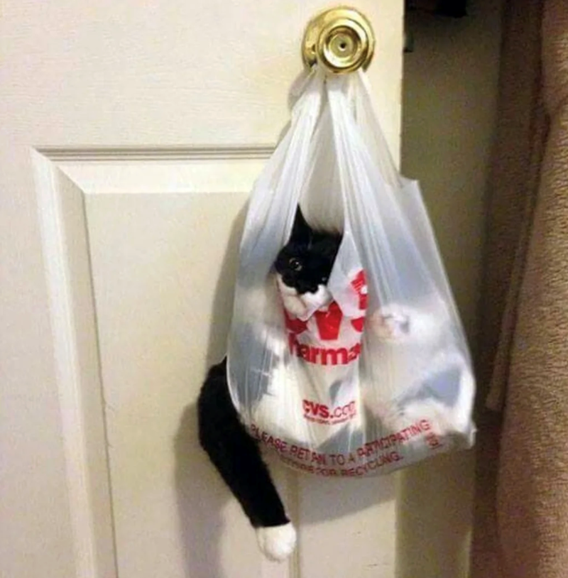 arm VS.co LEASE RETAN TO A PANCIPATING SOSFOR RECYCLING