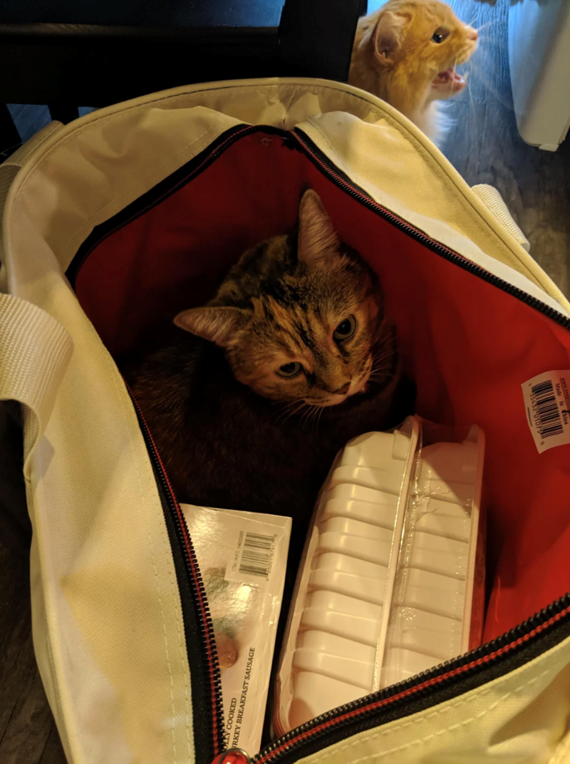 (TMART 1400022 OLLY COOKED RKEY BREAKFAST SAUSAGE 35432 010750 Made in China