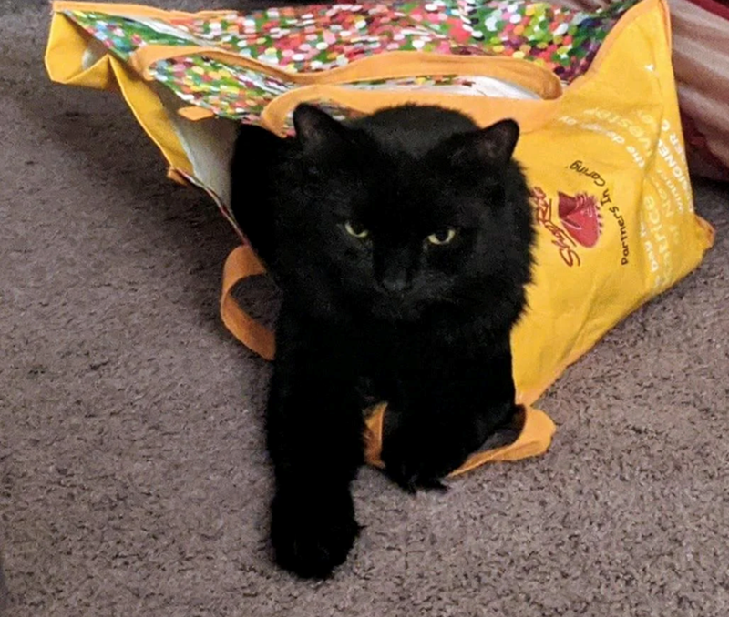 Shop Rea Partners In Caring bay of Ner the de atrice SIGNE ERC