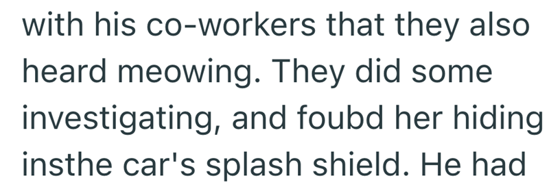 with his co-workers that they also heard meowing. They did some investigating, and foubd her hiding insthe car's splash shield. He had