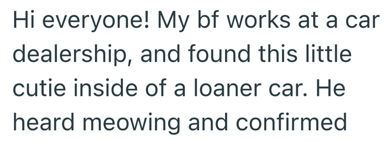 Hi everyone! My bf works at a car dealership, and found this little cutie inside of a loaner car. He heard meowing and confirmed