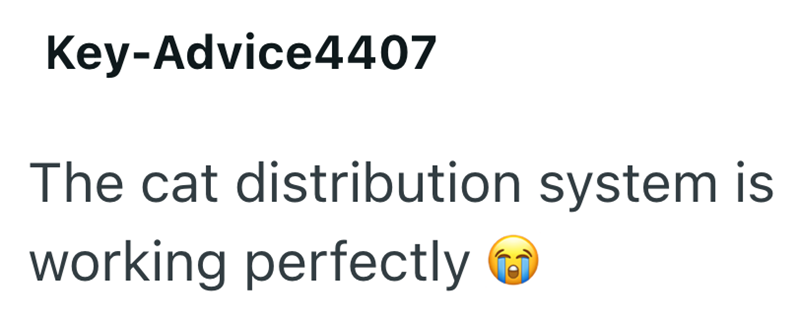 Key-Advice4407 The cat distribution system is working perfectly