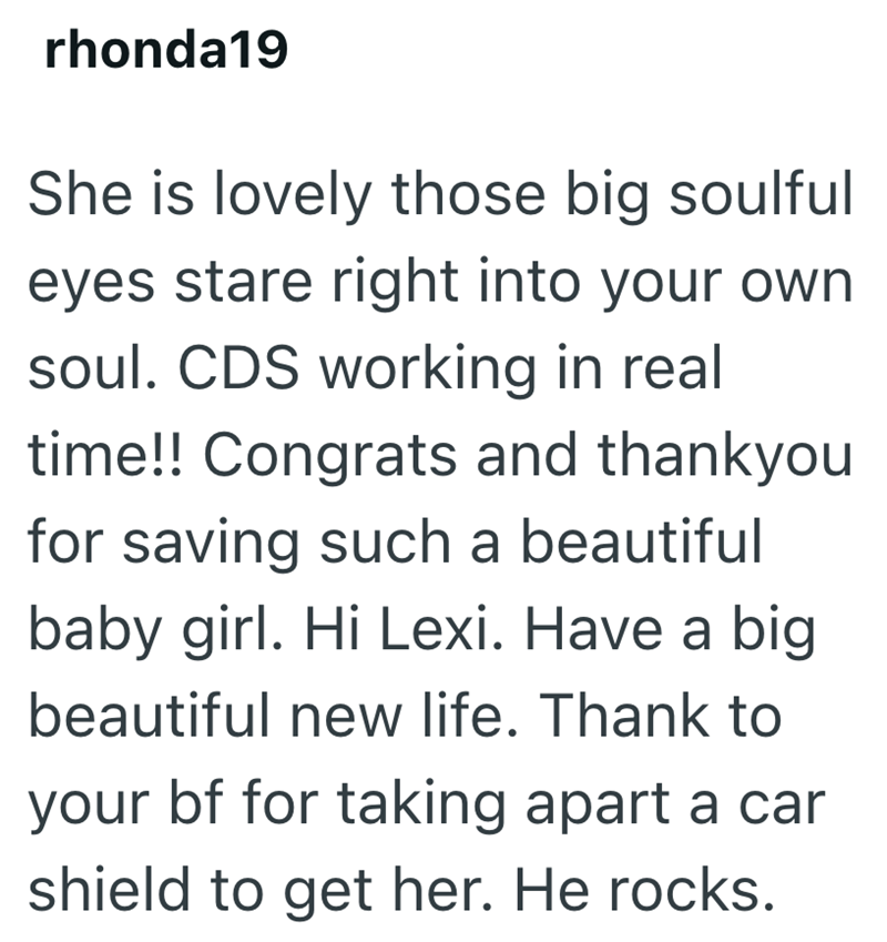 rhonda19 She is lovely those big soulful eyes stare right into your own soul. CDS working in real time!! Congrats and thankyou for saving such a beautiful baby girl. Hi Lexi. Have a big beautiful new life. Thank to your bf for taking apart a car shield to get her. He rocks.