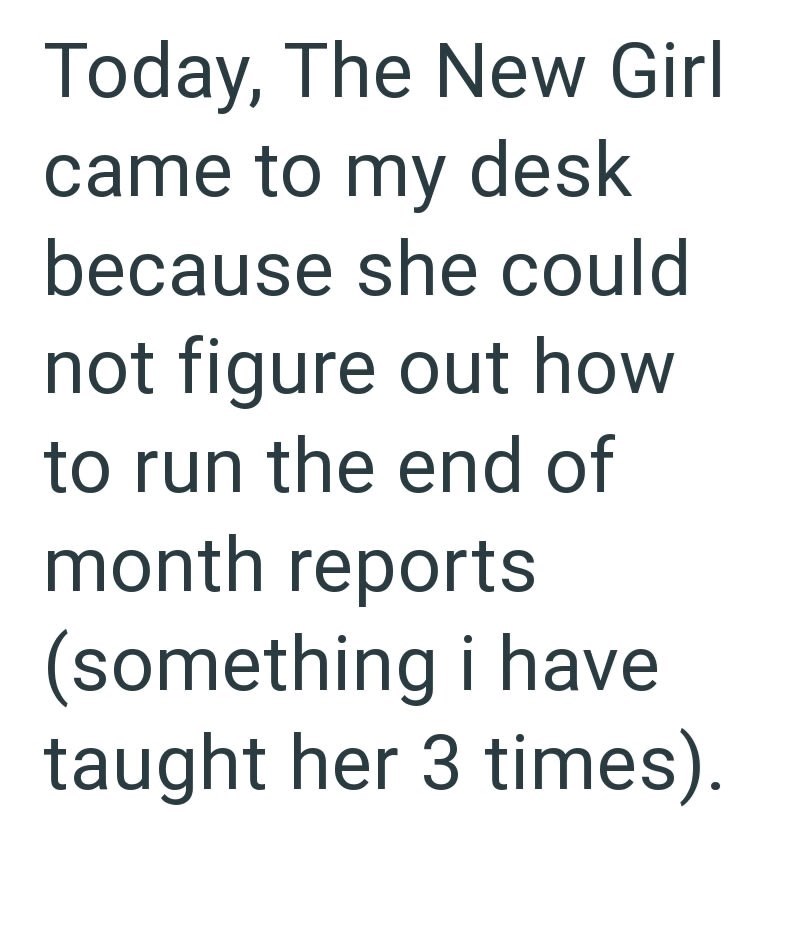 Today, The New Girl came to my desk because she could not figure out how to run the end of month reports (something i have taught her 3 times).