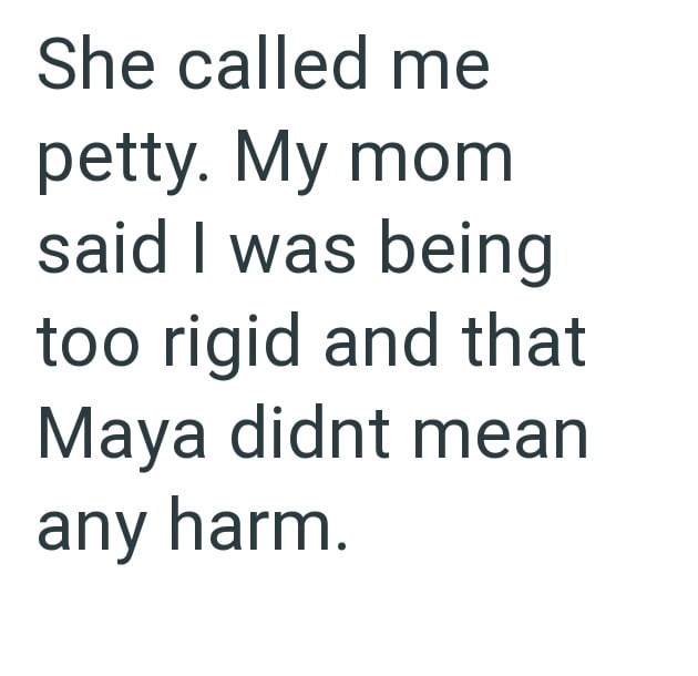 She called me petty. My mom said I was being too rigid and that Maya didnt mean any harm.
