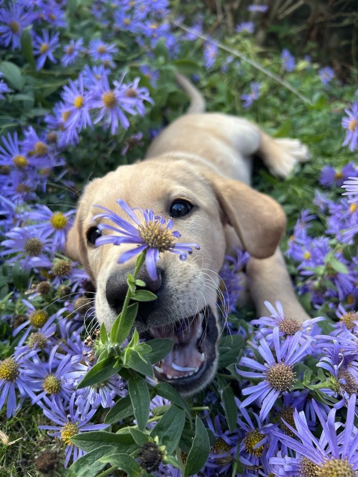 Cheezburger Image 10621080320