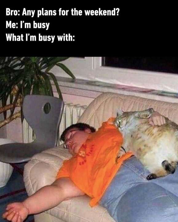 Bro: Any plans for the weekend? Me: I'm busy What I'm busy with: SAWE COP