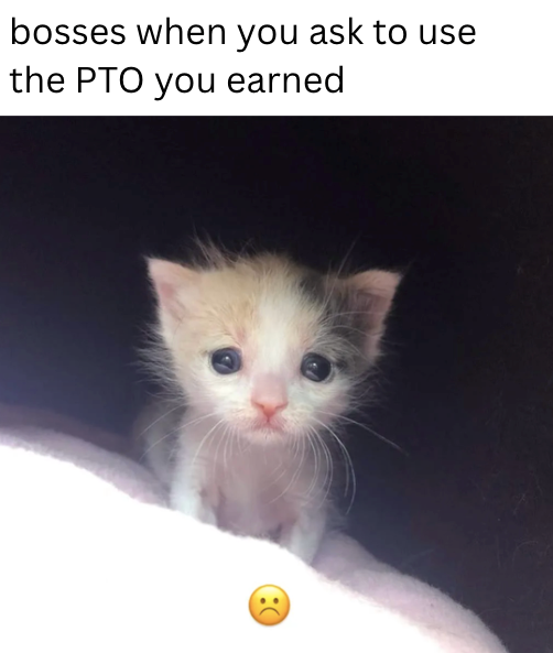 bosses when you ask to use the PTO you earned