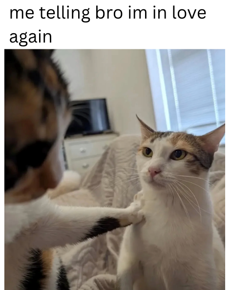 me telling bro im in love again