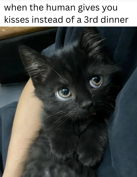 Cheezburger Image 10621095936