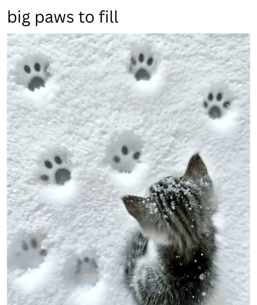 Cheezburger Image 10621096192