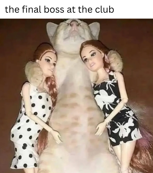 Cheezburger Image 10621096448