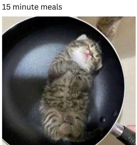 Cheezburger Image 10621096960