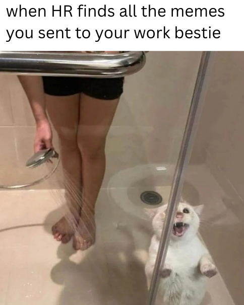 Cheezburger Image 10621097984