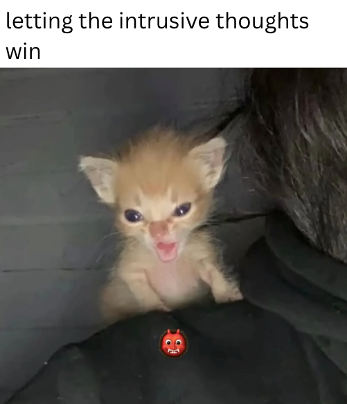 Cheezburger Image 10621098496