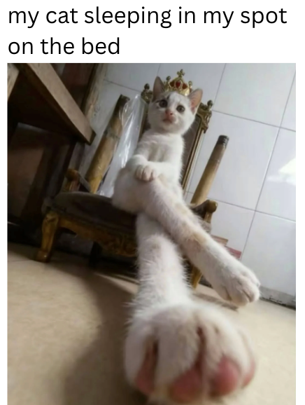 Cheezburger Image 10621098752