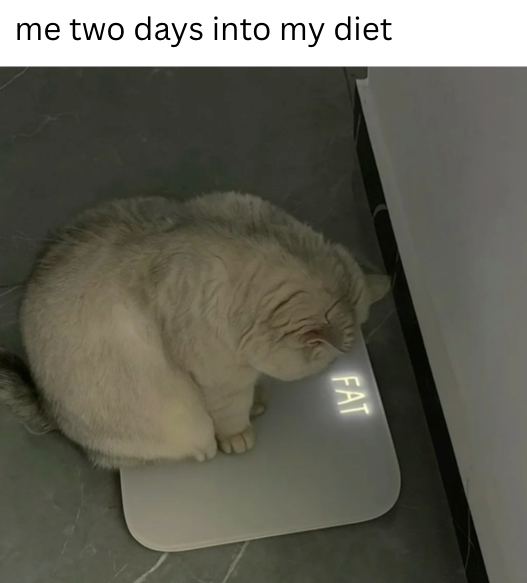 Cheezburger Image 10621099008