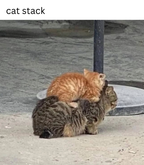 Cheezburger Image 10621099264