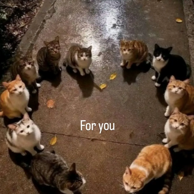 Cheezburger Image 10621099776