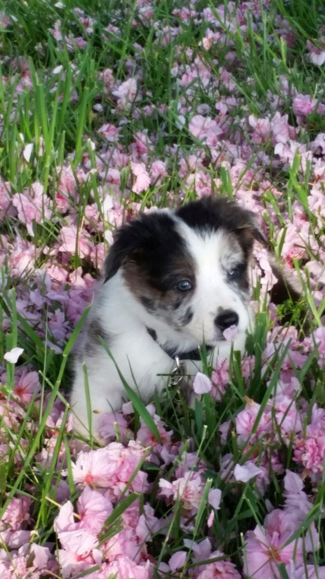 Cheezburger Image 10621100544