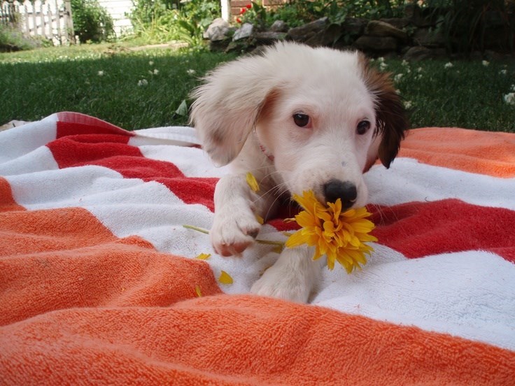 Cheezburger Image 10621100800