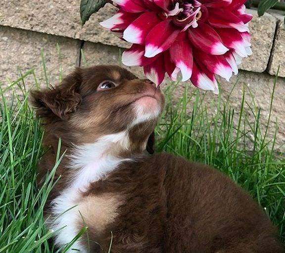 Cheezburger Image 10621101312