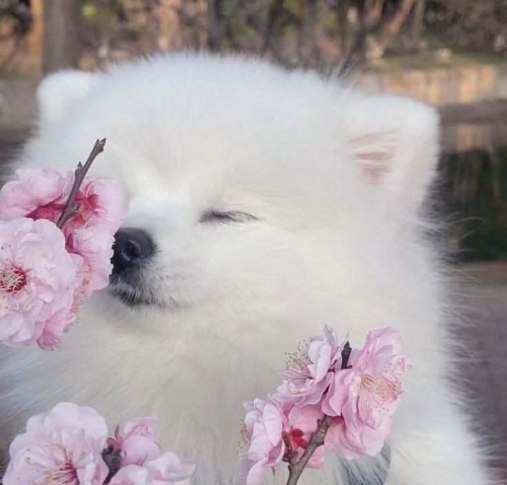 Cheezburger Image 10621103360