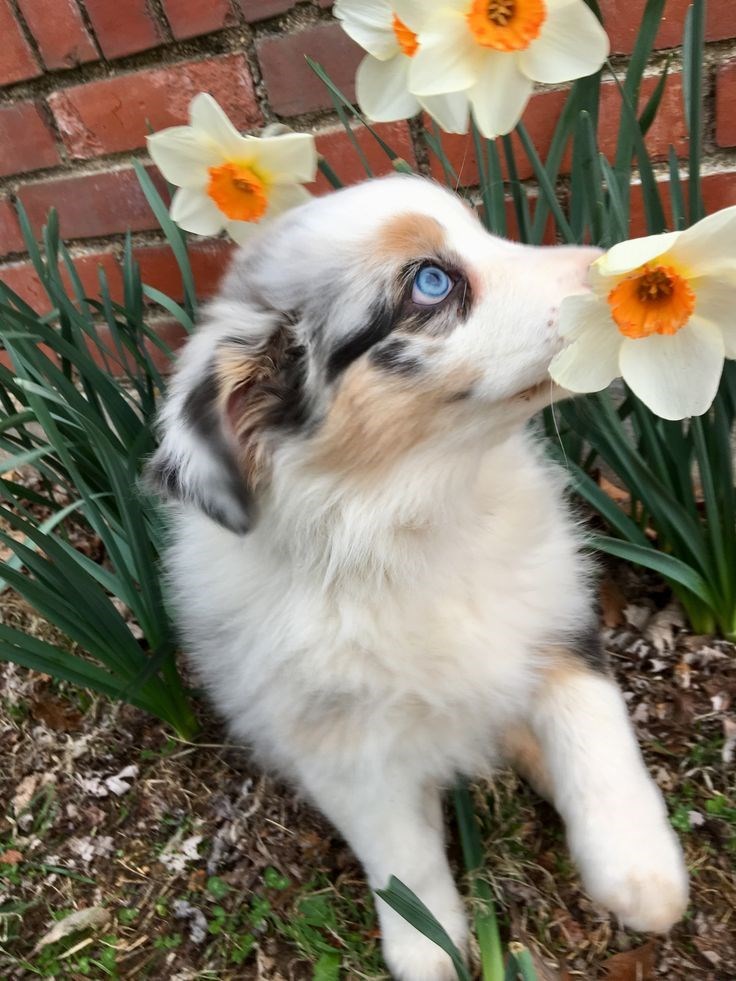 Cheezburger Image 10621103872