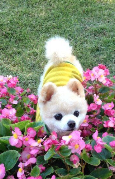 Cheezburger Image 10621104384