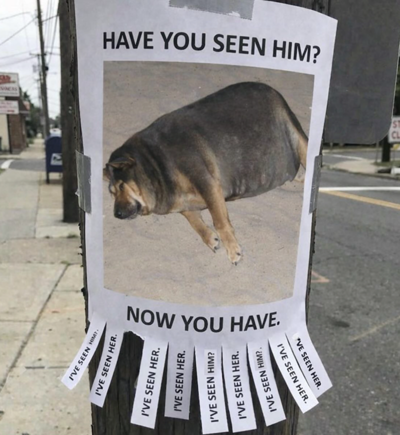 I'VE SEEN HIM? I'VE SEEN HER. NOW YOU HAVE. I'VE SEEN HER. I'VE SEEN HER. I'VE SEEN HIM? I'VE SEEN HER. I'VE SEEN HIM?. МУЗН N33S ЗЛІ УЭН N33S ЭЗЛ HAVE YOU SEEN HIM?