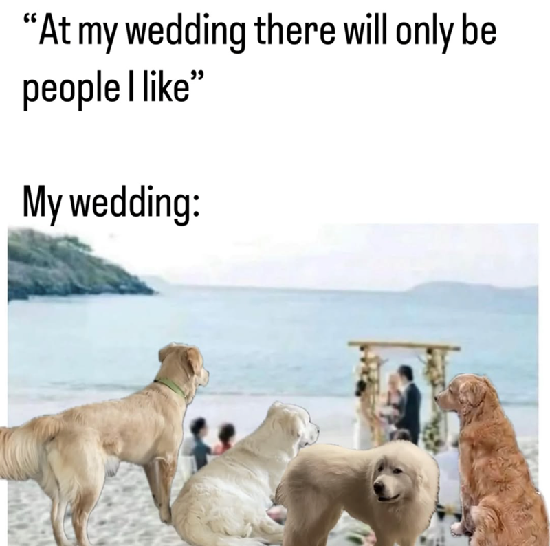 "At my wedding there will only be people I like" My wedding: