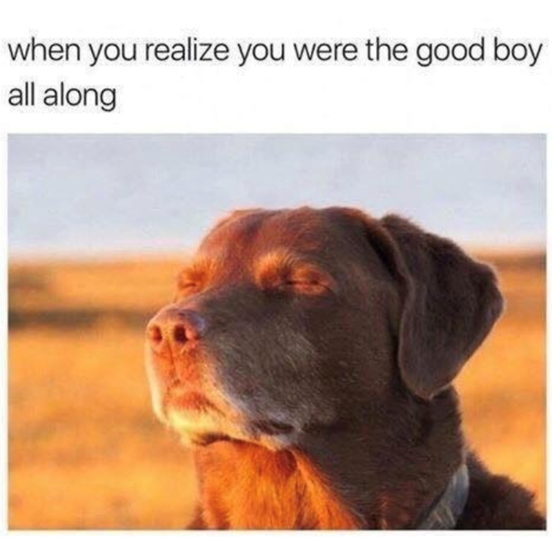 when you realize you were the good boy all along