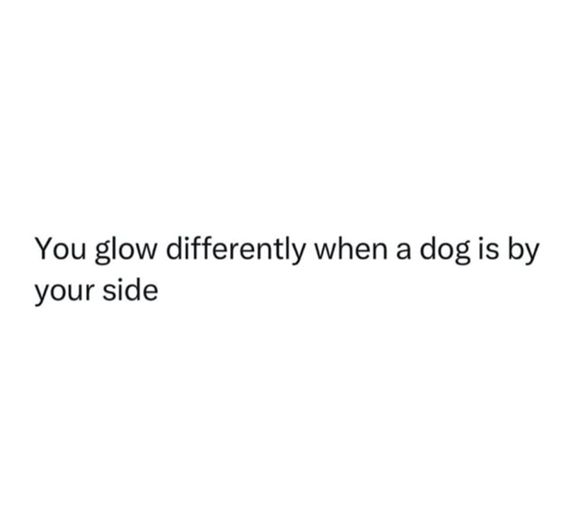 You glow differently when a dog is by your side