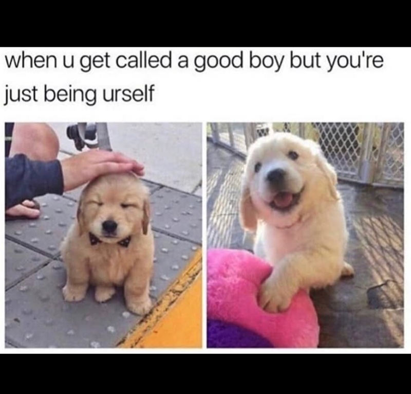 when u get called a good boy but you're just being urself