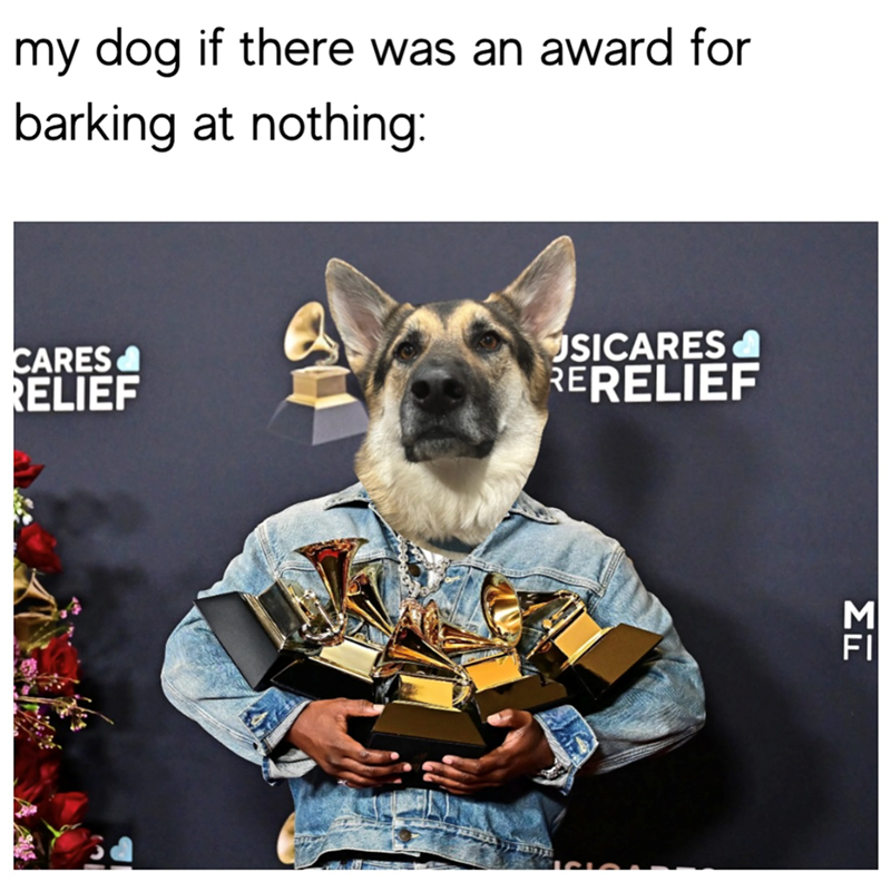 my dog if there was an award for barking at nothing: CARES RELIEF USICARES RERELIEF ΣΕ