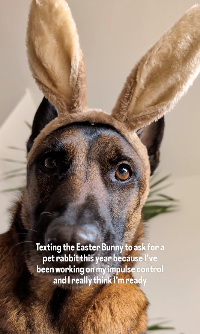 Texting the Easter Bunny to ask for a pet rabbit this year because I've been working on my impulse control and I really think I'm ready