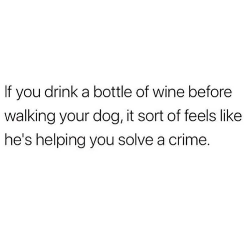 If you drink a bottle of wine before walking your dog, it sort of feels like he's helping you solve a crime.