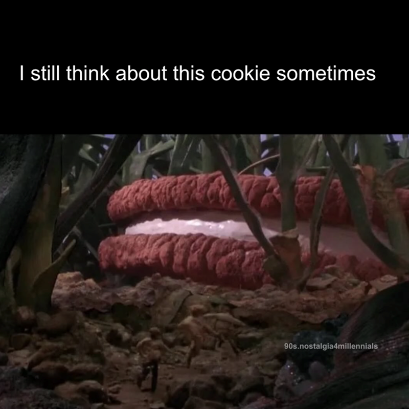 I still think about this cookie sometimes 90s.nostalgia4millennials