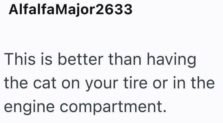 AlfalfaMajor2633 This is better than having the cat on your tire or in the engine compartment.