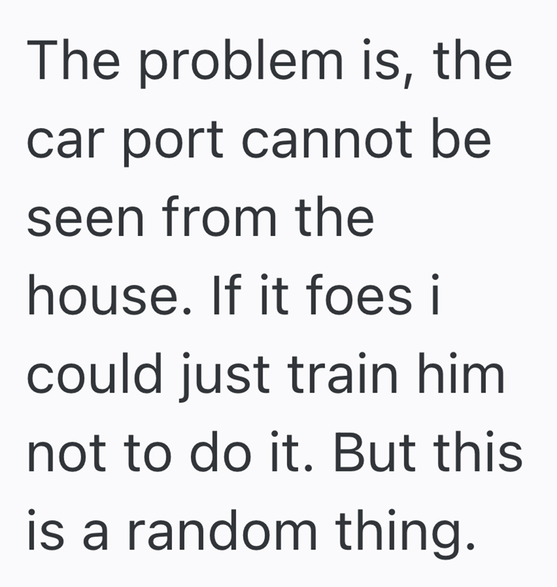 The problem is, the car port cannot be seen from the house. If it foes i could just train him not to do it. But this is a random thing.