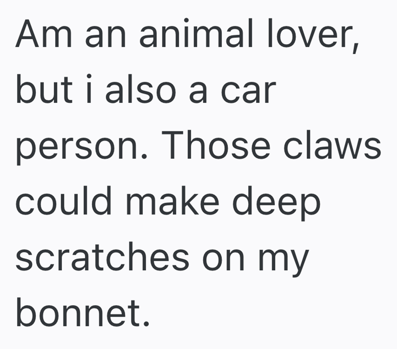 Am an animal lover, but i also a car person. Those claws could make deep scratches on my bonnet.