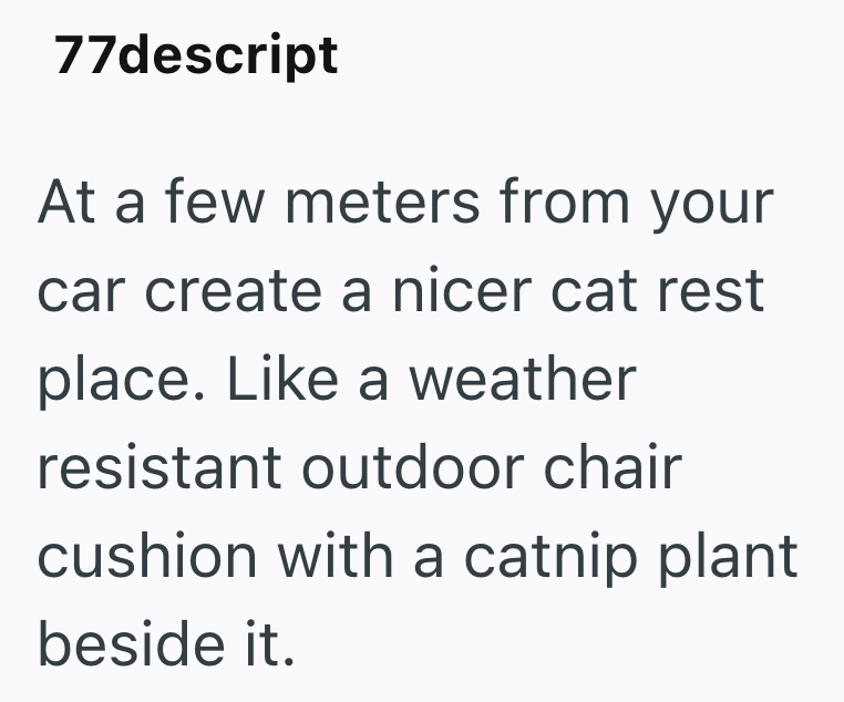 77descript At a few meters from your car create a nicer cat rest place. Like a weather resistant outdoor chair cushion with a catnip plant beside it.