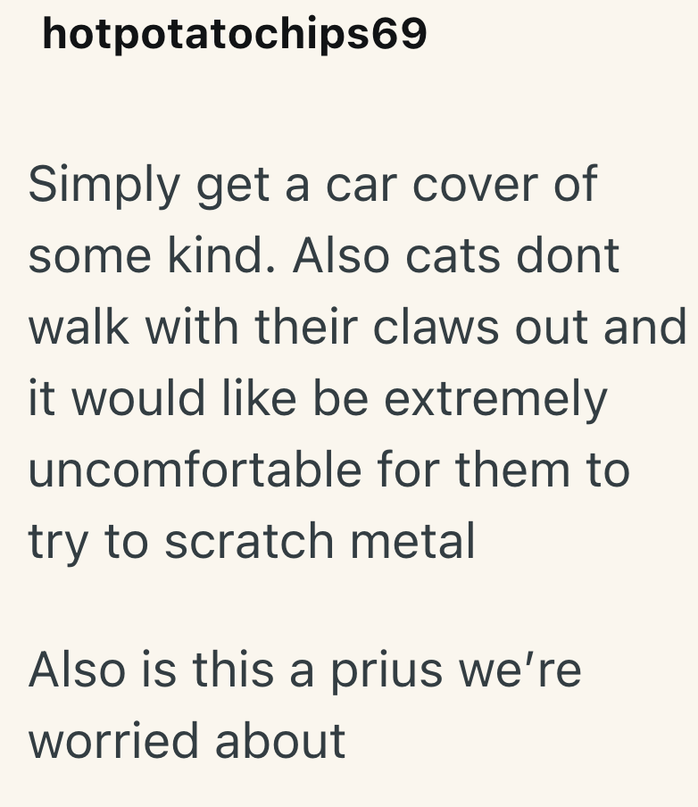 hotpotatochips69 Simply get a car cover of some kind. Also cats dont walk with their claws out and it would like be extremely uncomfortable for them to try to scratch metal Also is this a prius we're worried about