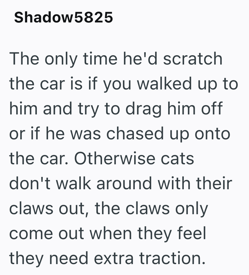 Shadow5825 The only time he'd scratch the car is if you walked up to him and try to drag him off or if he was chased up onto the car. Otherwise cats don't walk around with their claws out, the claws only come out when they feel they need extra traction.