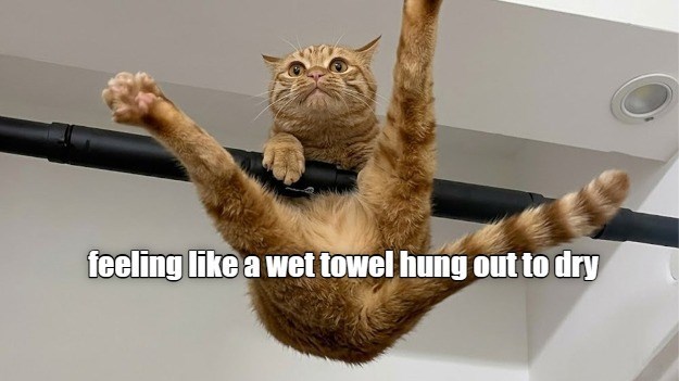 Cheezburger Image 10621182976