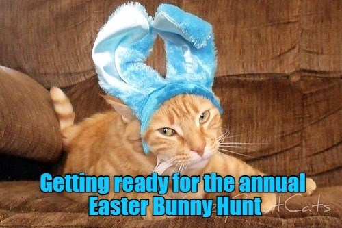 Cheezburger Image 10621183744