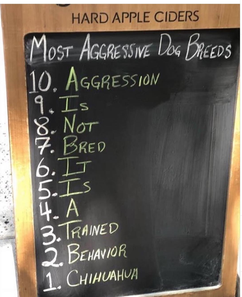 HARD APPLE CIDERS MOST AGGRESSIVE DOG BREEDS 10. AGGRESSION 9. Is 8. NOT 7. BRED 6.IT 5.Is 4. A 3. TRAINED 2. BEHAVIOR 1. CHIHUAHUA